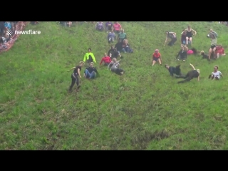 victims of the cooperschild cheese race